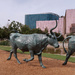 Pioneer plaza, Dallas by ingrid01