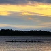 Rowers at sunset, Ashley River at Brittlebank Park by congaree