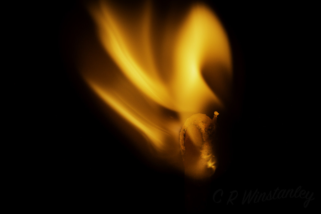Playing with Fire by kipper1951
