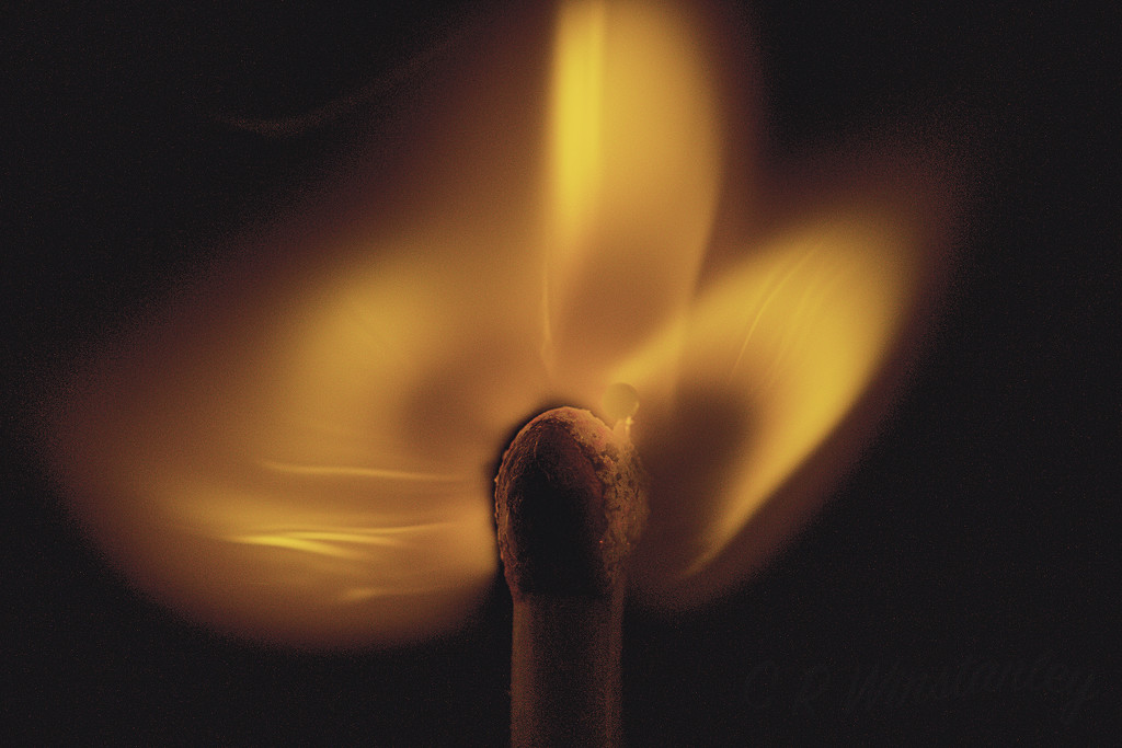 Playing with Fire 1 by kipper1951