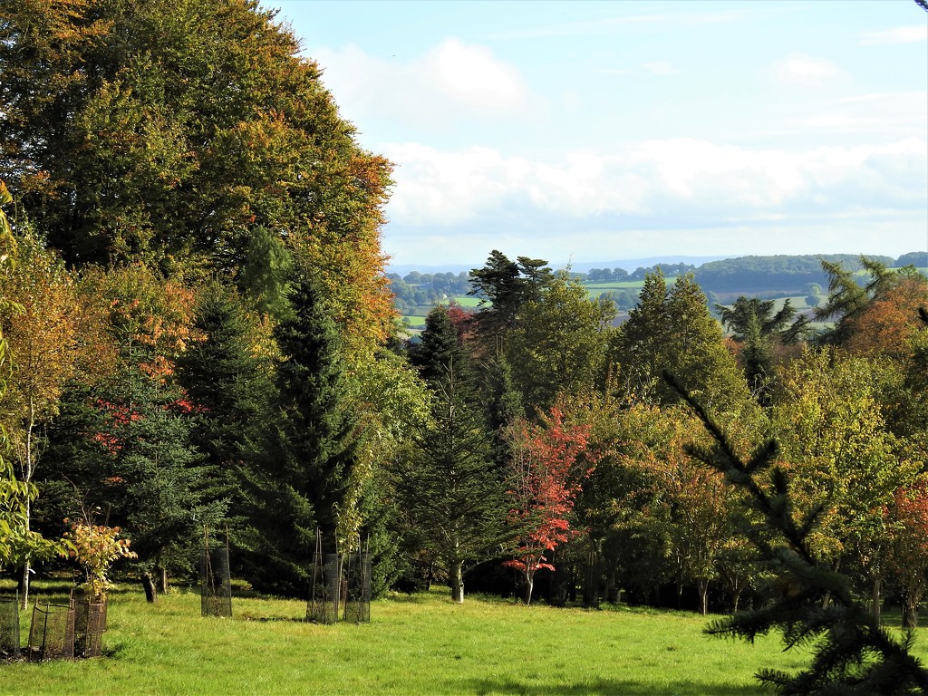  View from Hergest Croft  by susiemc