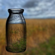 25th Oct 2019 - Grass in a Bottle 