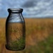 Grass in a Bottle  by radiogirl