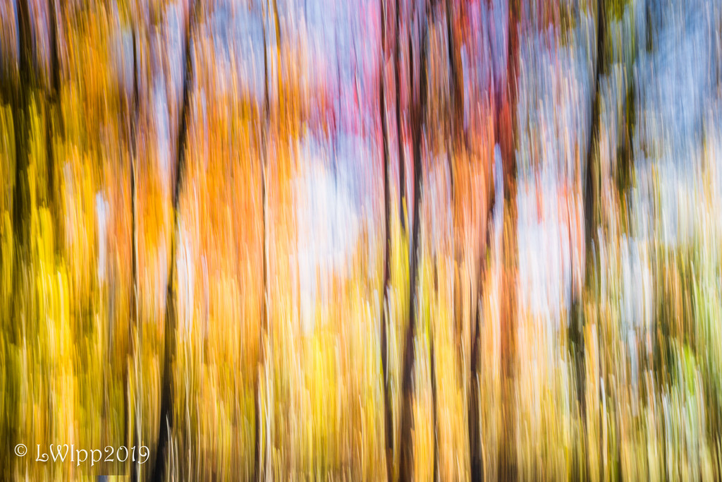 The Fleeting Colors Of Fall by lesip
