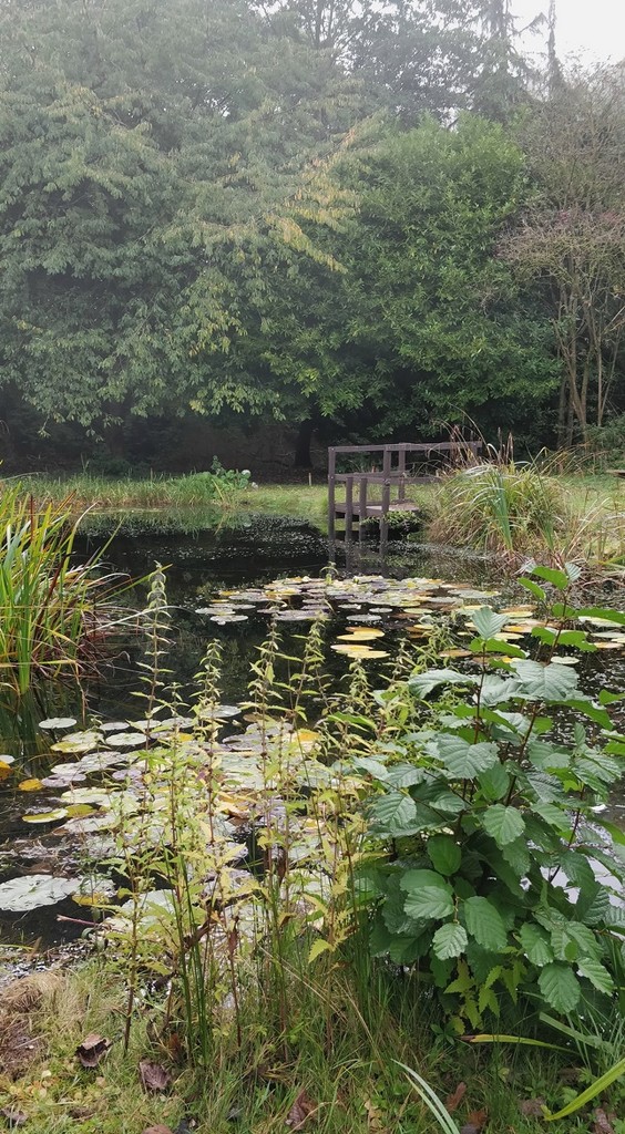 Pond dipping (without children!) by roachling