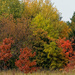 autumn landscape by rminer