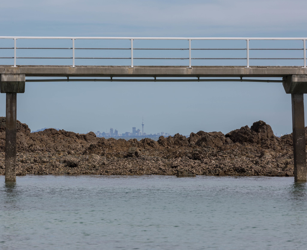 Auckland from far away by creative_shots