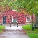 Vine Cottage by davemockford