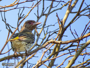 24th Oct 2019 - youngster