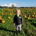 Picking a Pumpkin by kimmer50