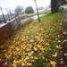 Rainy autumn day  by plainjaneandnononsense