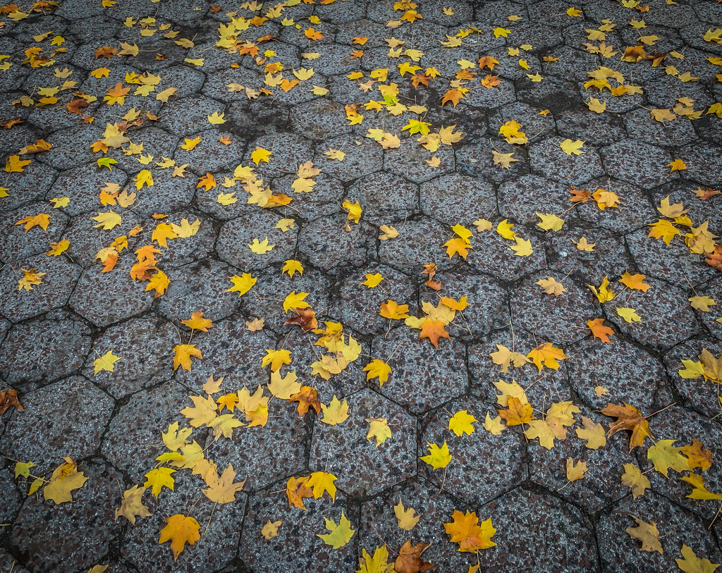 Fall Patterns by marylandgirl58