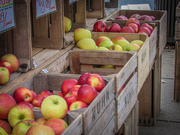 26th Oct 2019 - Apples for Sale