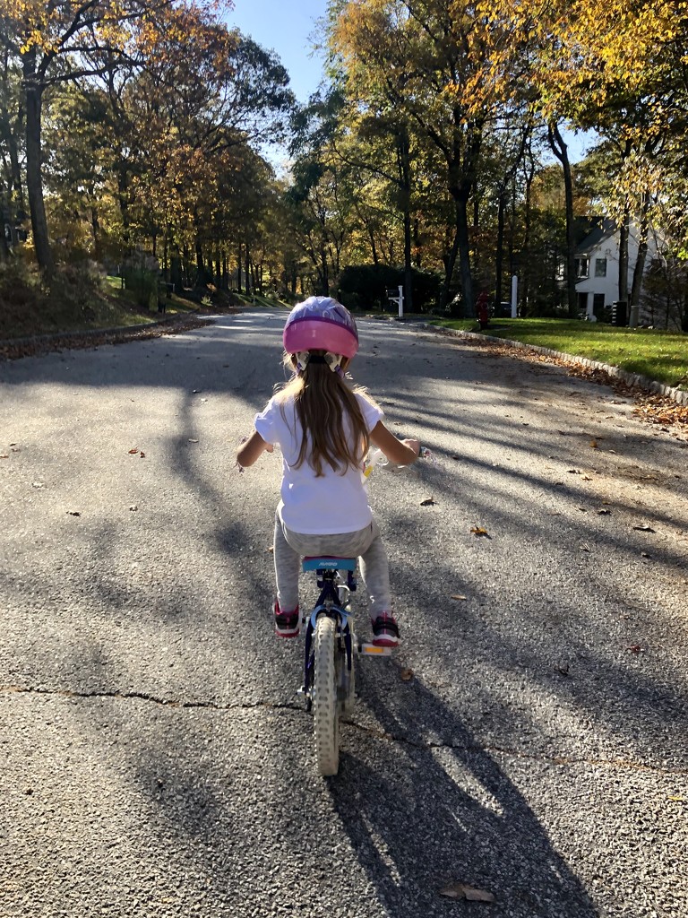 Bike ride home from school by mdoelger