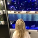Now they want a pet fish  by mdoelger
