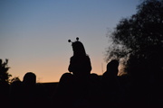 27th Oct 2019 - Silhouette