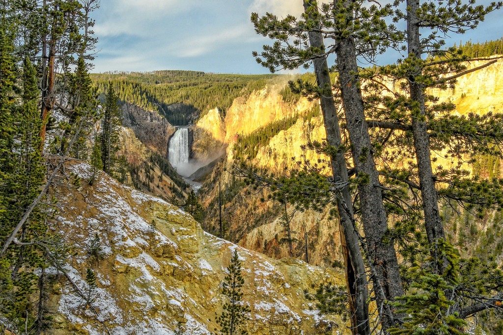 Grand Canyon of Yellowstone by danette