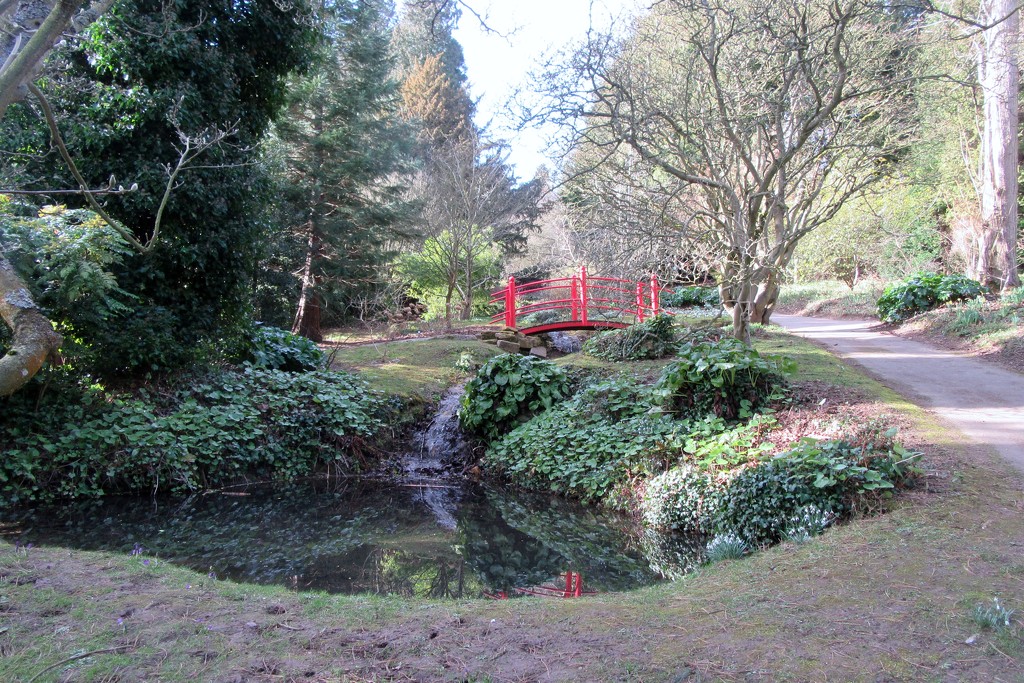 Battsford Arboretum by lellie