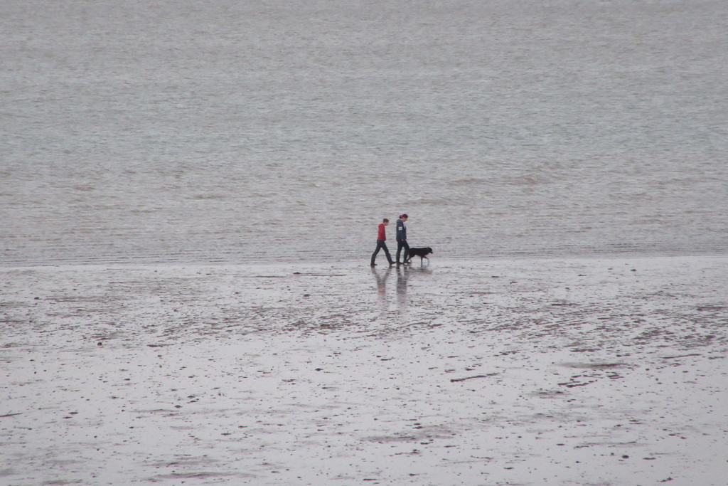 Walk at low tide by lellie