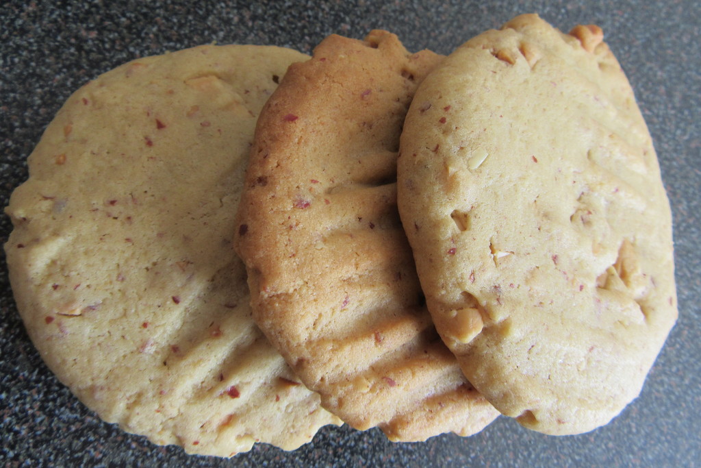Home baked cookies by lellie