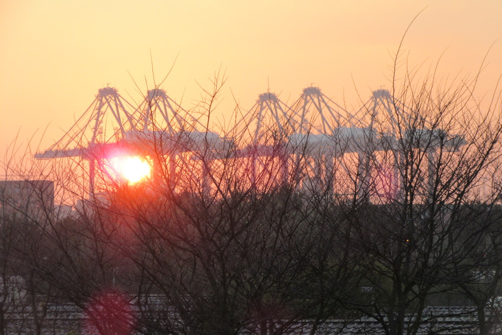 Sunset and cranes by lellie