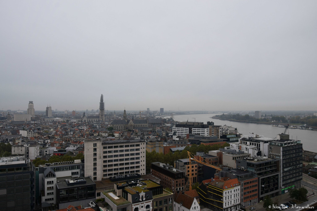 Antwerp seen from above by parisouailleurs
