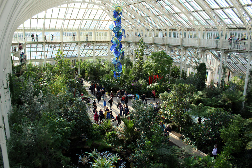 27th Oct Temperate House by valpetersen