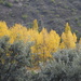 Autumn in Aragon by chimfa