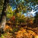 Autumn at Wakehurst by rumpelstiltskin