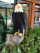 27th Oct 2019 - Lego Bald Eagle