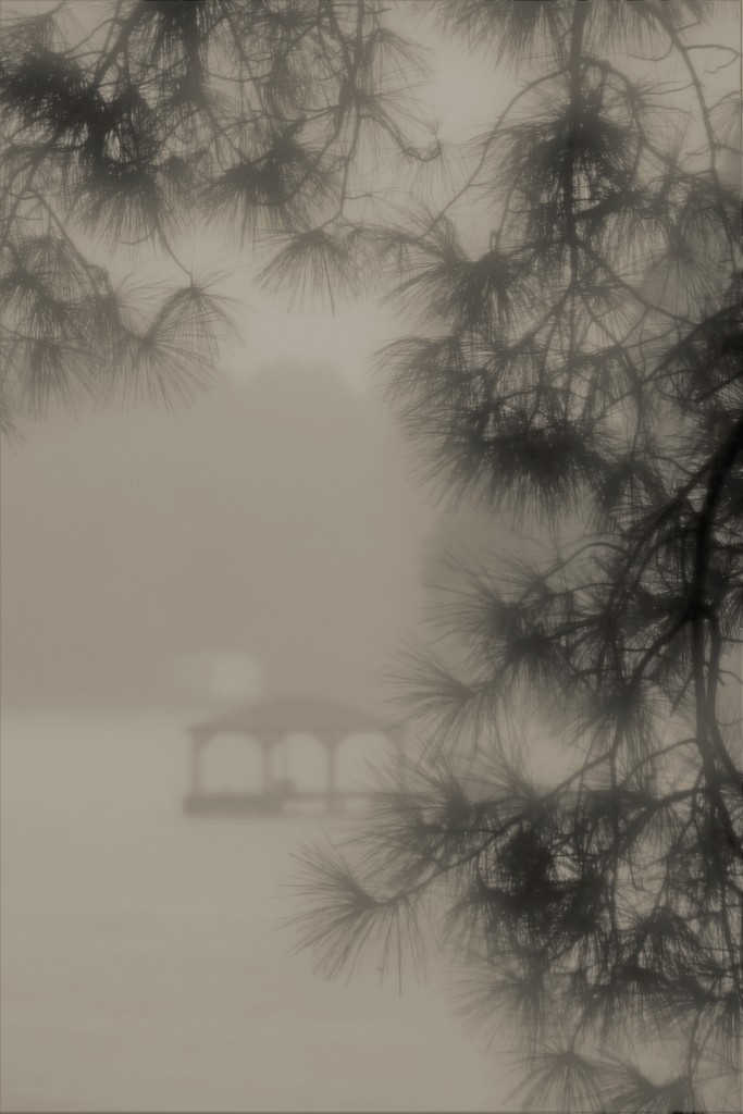 foggy view by edorreandresen