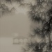 foggy view by edorreandresen