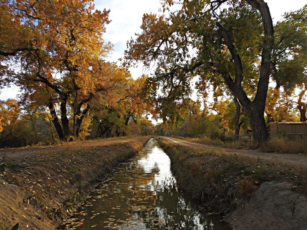 Autumn Acequia, Corrales, New Mexico, USA by janeandcharlie