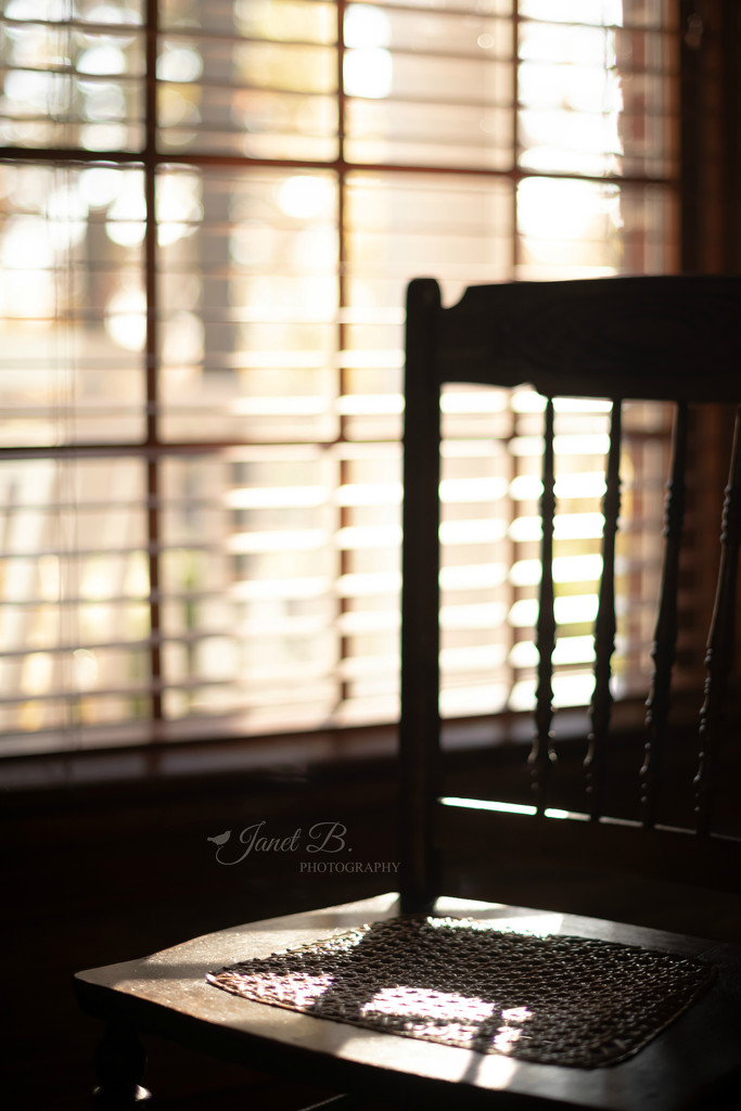 The Old Cane Chair by janetb