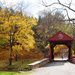 Covered bridge in autumn by mittens