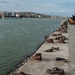 Shoes on the Danube Bank by blueberry1222