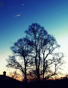 8th Jan 2011 - The Moon From a Bus-Stop