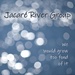 Album Cover Challenge #110 - Jacare River Group by lsquared