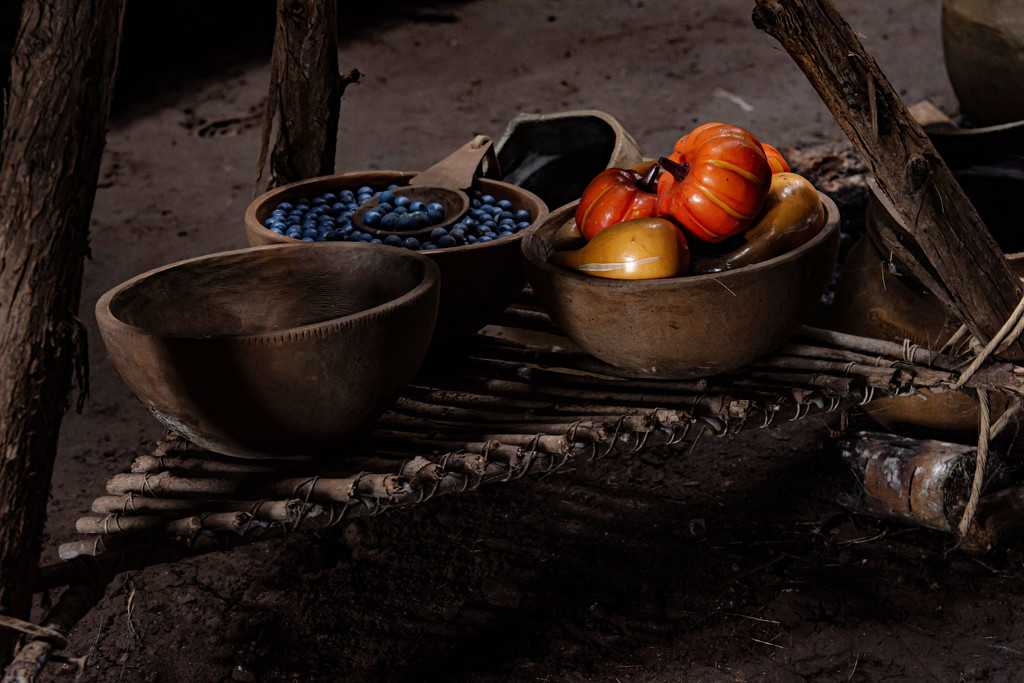 Typical Iroquian Diet in 1450  by farmreporter