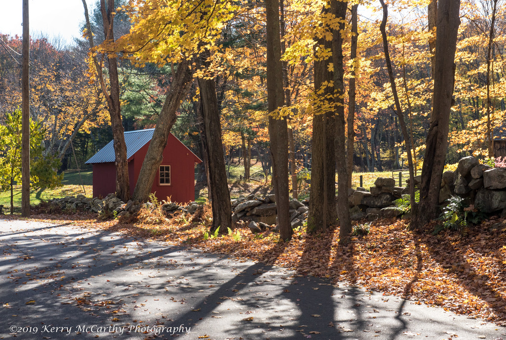 Another country road... by mccarth1