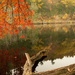 Laurel Lake by beckyk365
