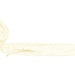 Gilded filigree by dulciknit