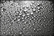 29th Oct 2019 - Drops of water