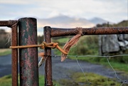 29th Oct 2019 - rust and rope
