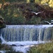 Waterfall by carole_sandford