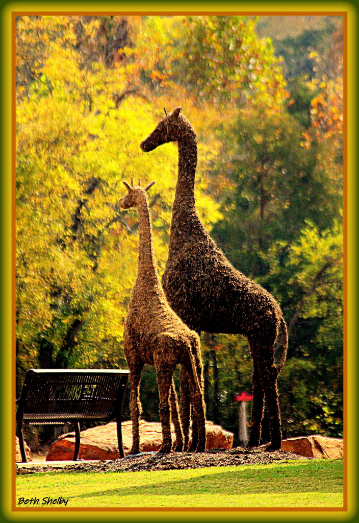 New Topiary Creatures in the Park by vernabeth
