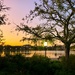 Sunset at Colonial Lake Park by congaree