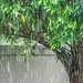 More rain by ludwigsdiana