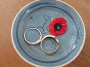11th Nov 2018 - Two rings and a poppy