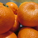 Oranges by lellie